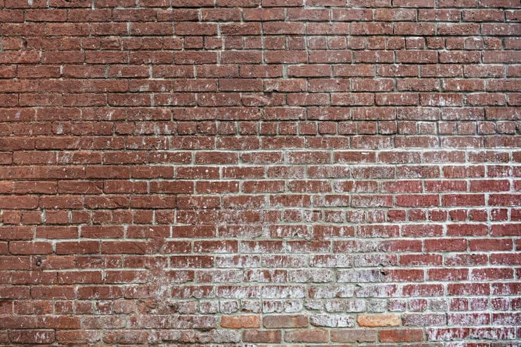 muro de tijolinho cheio de mofo