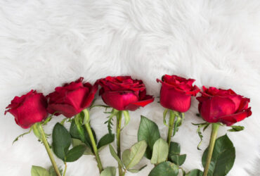 5 rosas vermelhas expostas emcima de uma cama