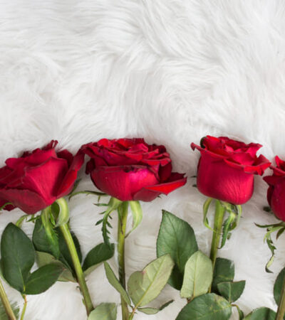 5 rosas vermelhas expostas emcima de uma cama