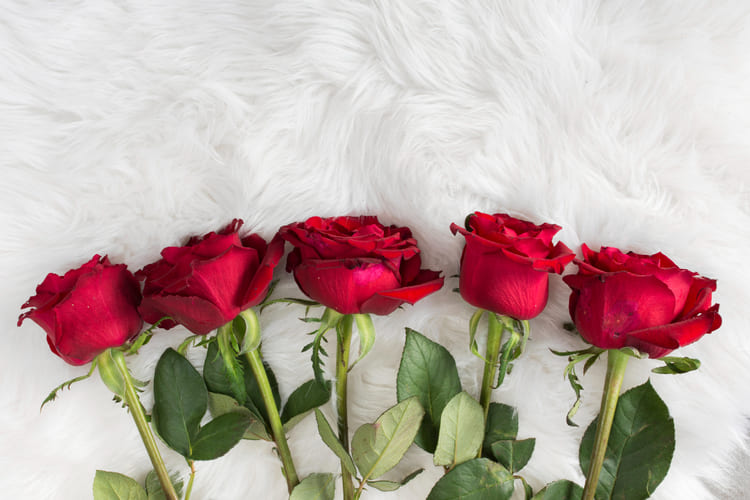 5 rosas vermelhas expostas emcima de uma cama